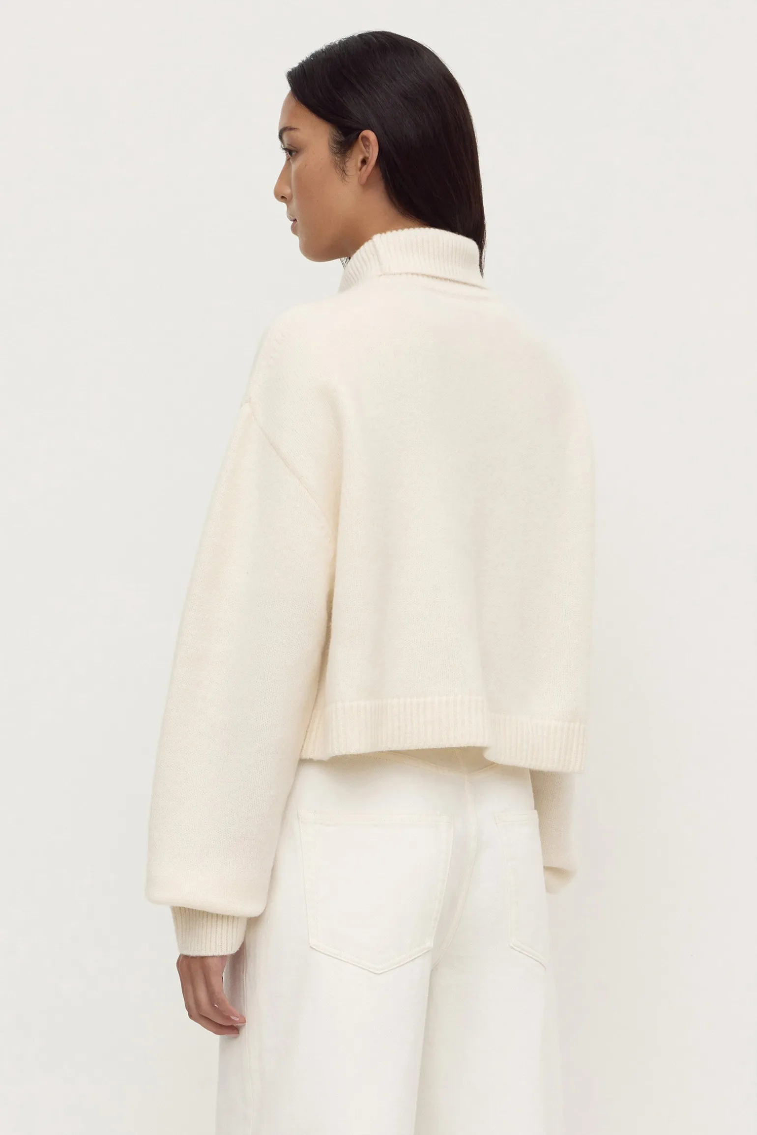 Paris Wool Cashmere Knit Turtleneck