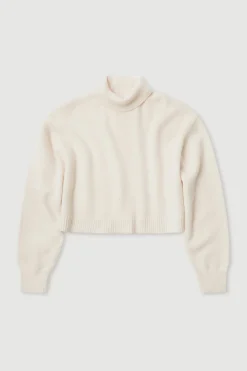 Paris Wool Cashmere Knit Turtleneck